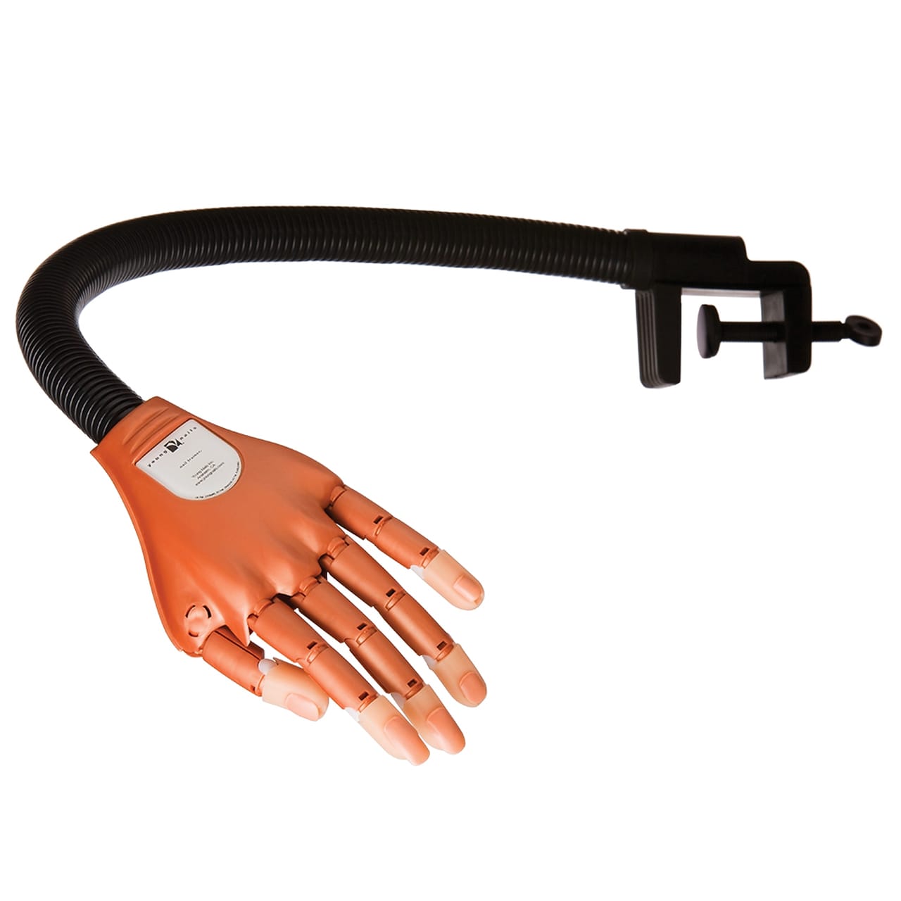 YOUNG NAILS PRACTICE HAND